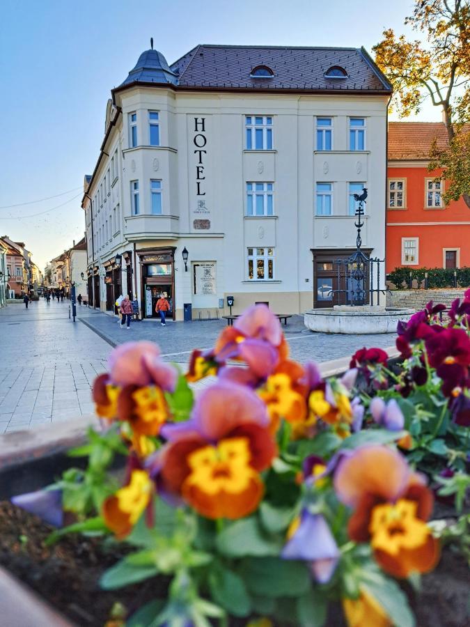 Hotel Domus Collis Győr Extérieur photo